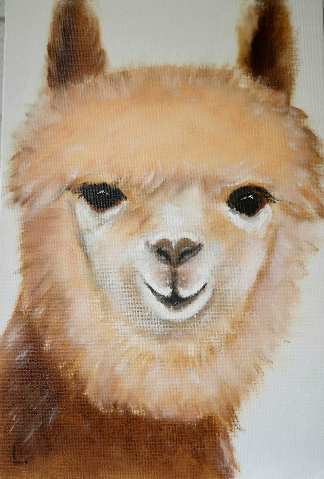 Original oil painting Alpaca Portrait Small wall art Animals 100% Handmade 8×12