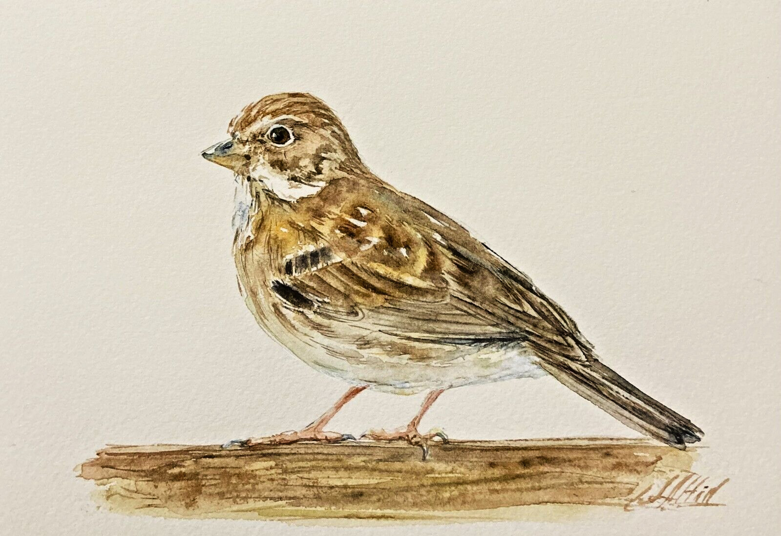 Sparrow Bird Watercolor Original Painting