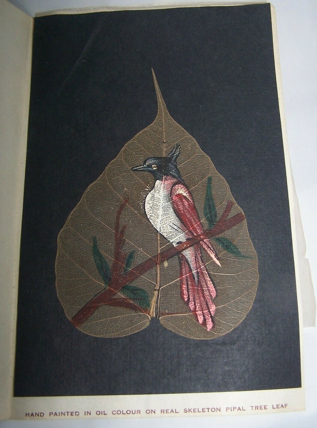 Pipal Leaf Greeting Cards ~ Rare Bird Painting ~ Possibly Paradise Fly Catcher