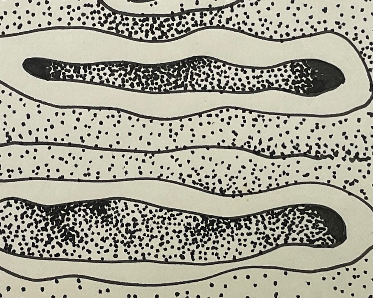 NELIDA LOPEZ. Painter. Draftsman. Engraver. Cuban artist. Contemporary art.Ink.