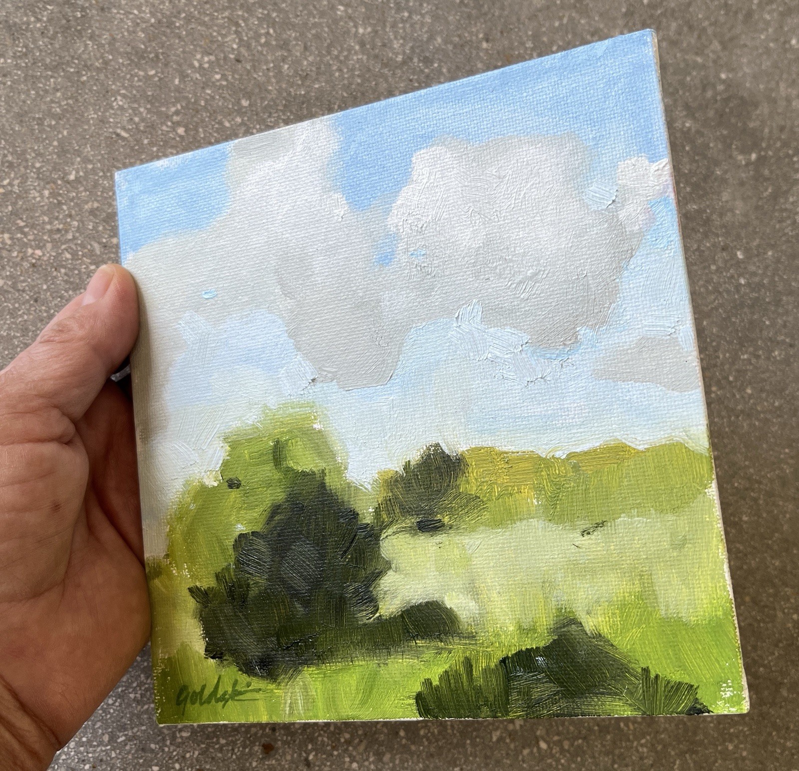 Original Oil Painting Small Works Everglades Series Collect Signed Fine Art