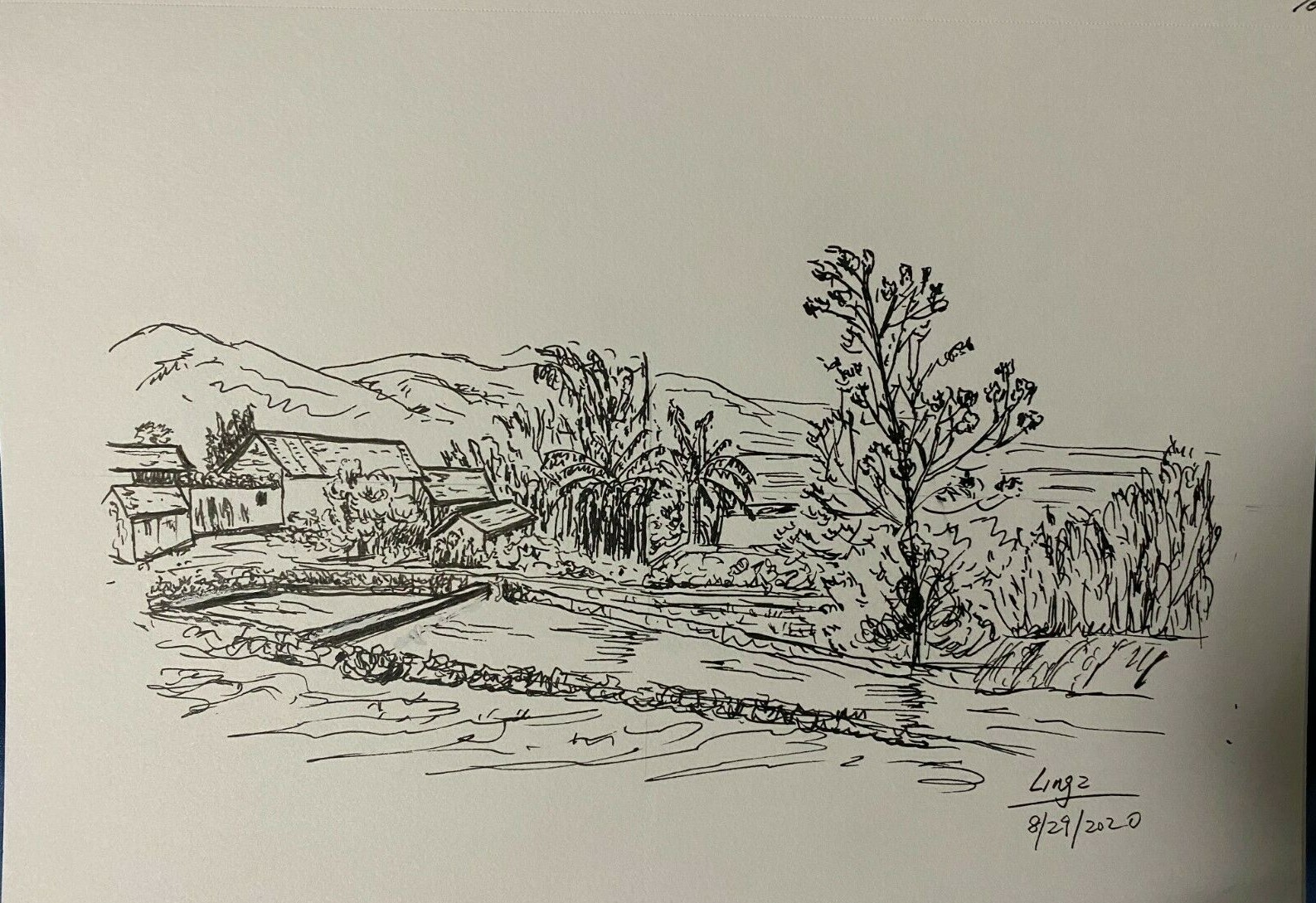 Pen and Ink Drawing Landscape on Canson Mix Media Paper 7×10″