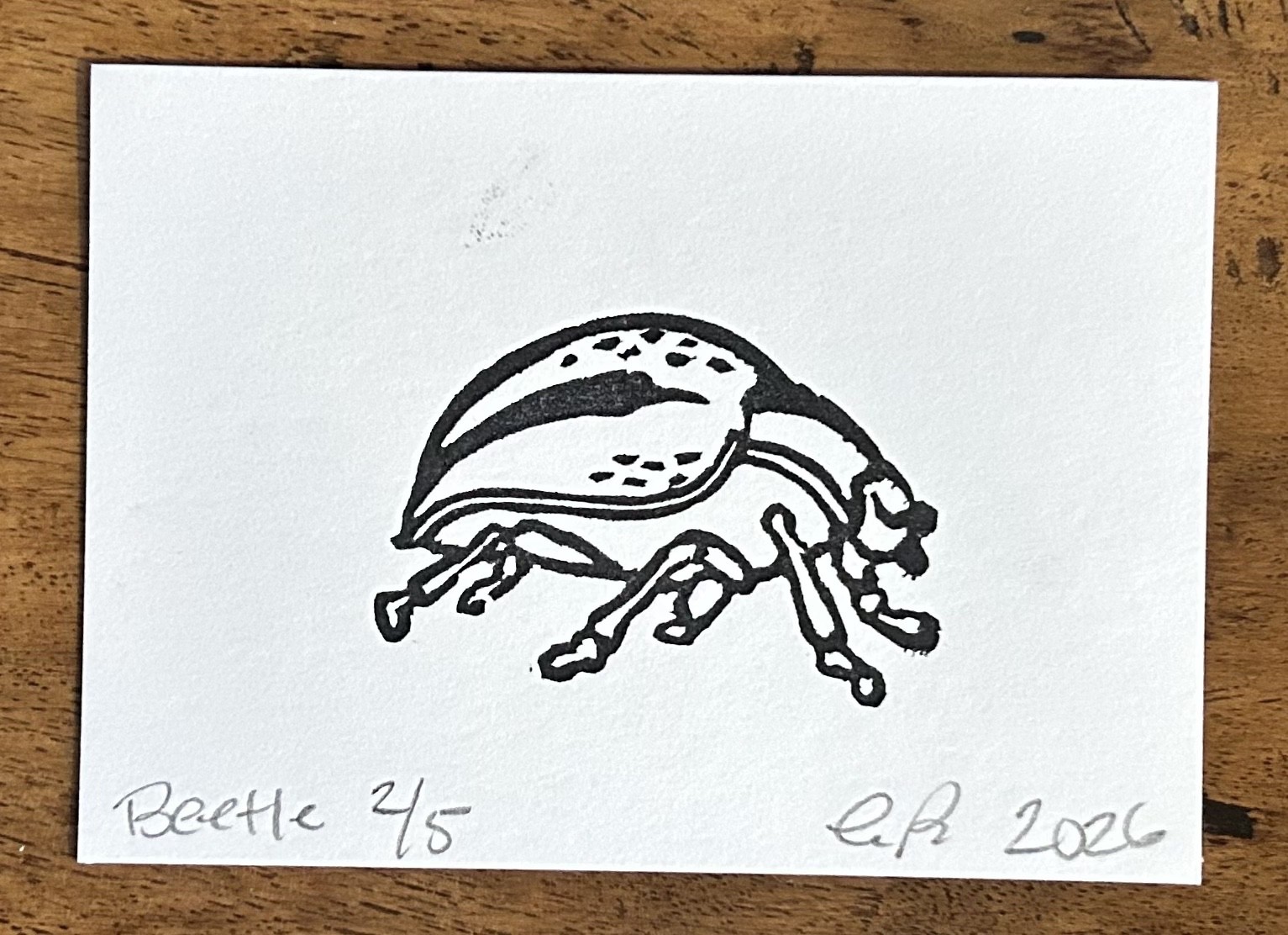 aceo original art by Emily Beck, Beetle 2/5, linocut insect art, 3.5×25″