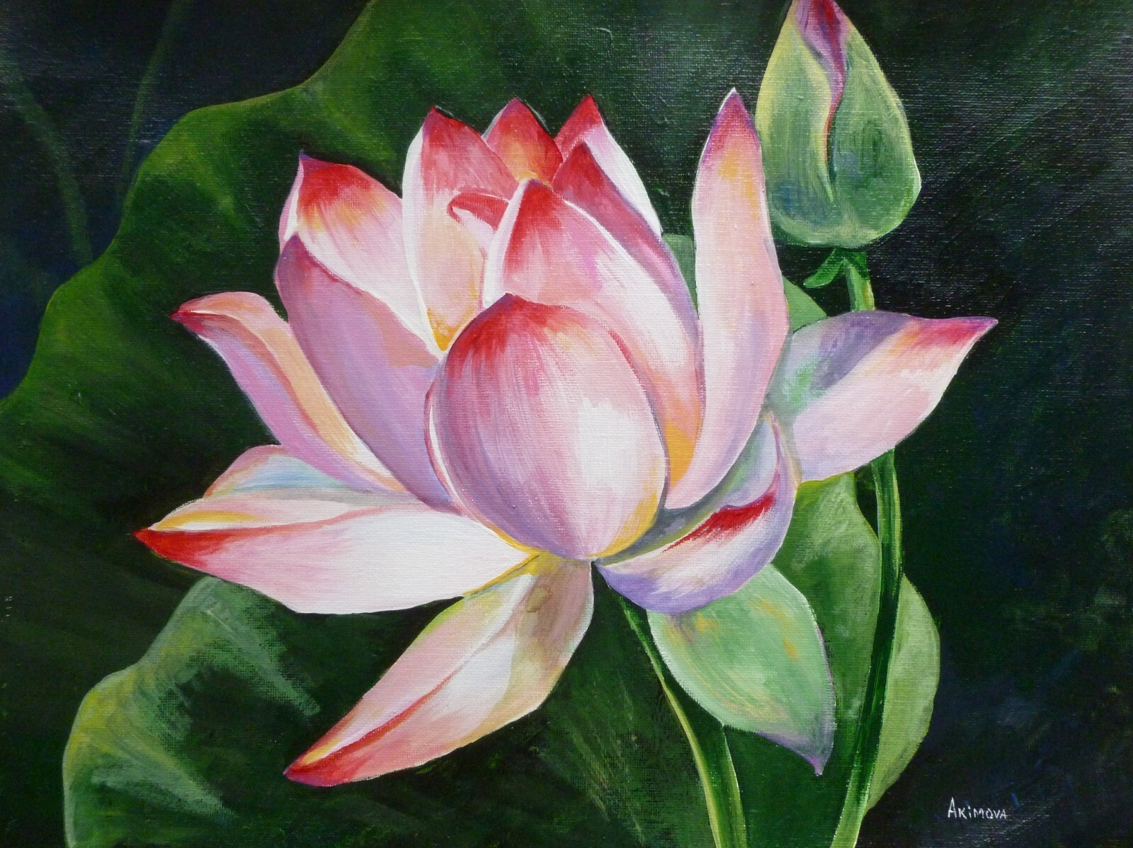 Original painting on canvas, LOTUS FLOWER, acrylic, 11″x14″, pink, signed