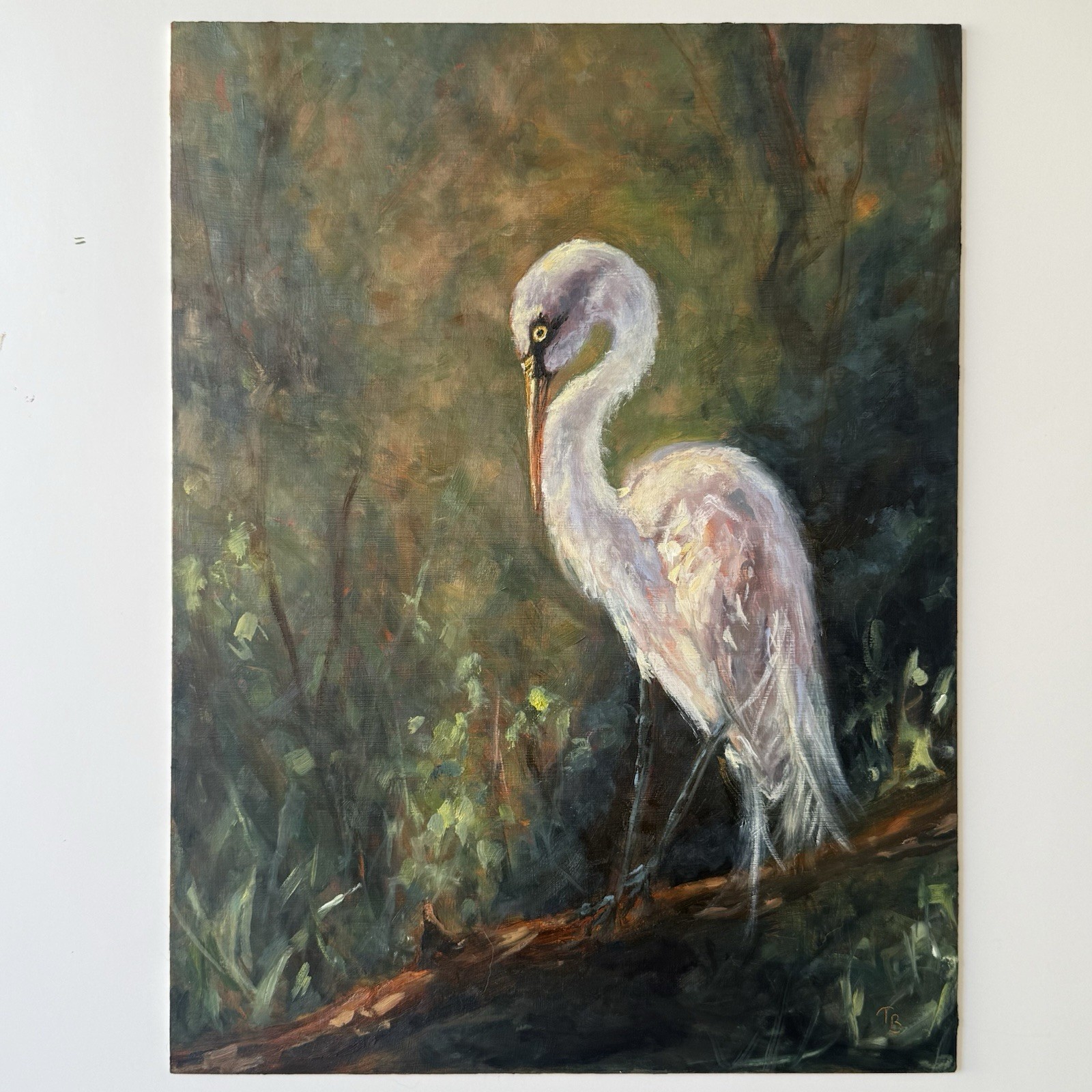 Original Egret Bird Painting, Wildlife Art, Oil On Hardboard,12×16 Inch Wildlife
