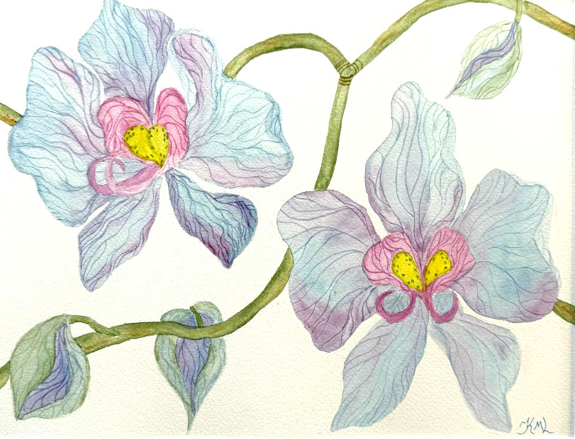 PAINTING WATERCOLOR ORIGINAL ART ORCHID FLOWER BLUE LAVENDER 11×14 & MAT 16X 20