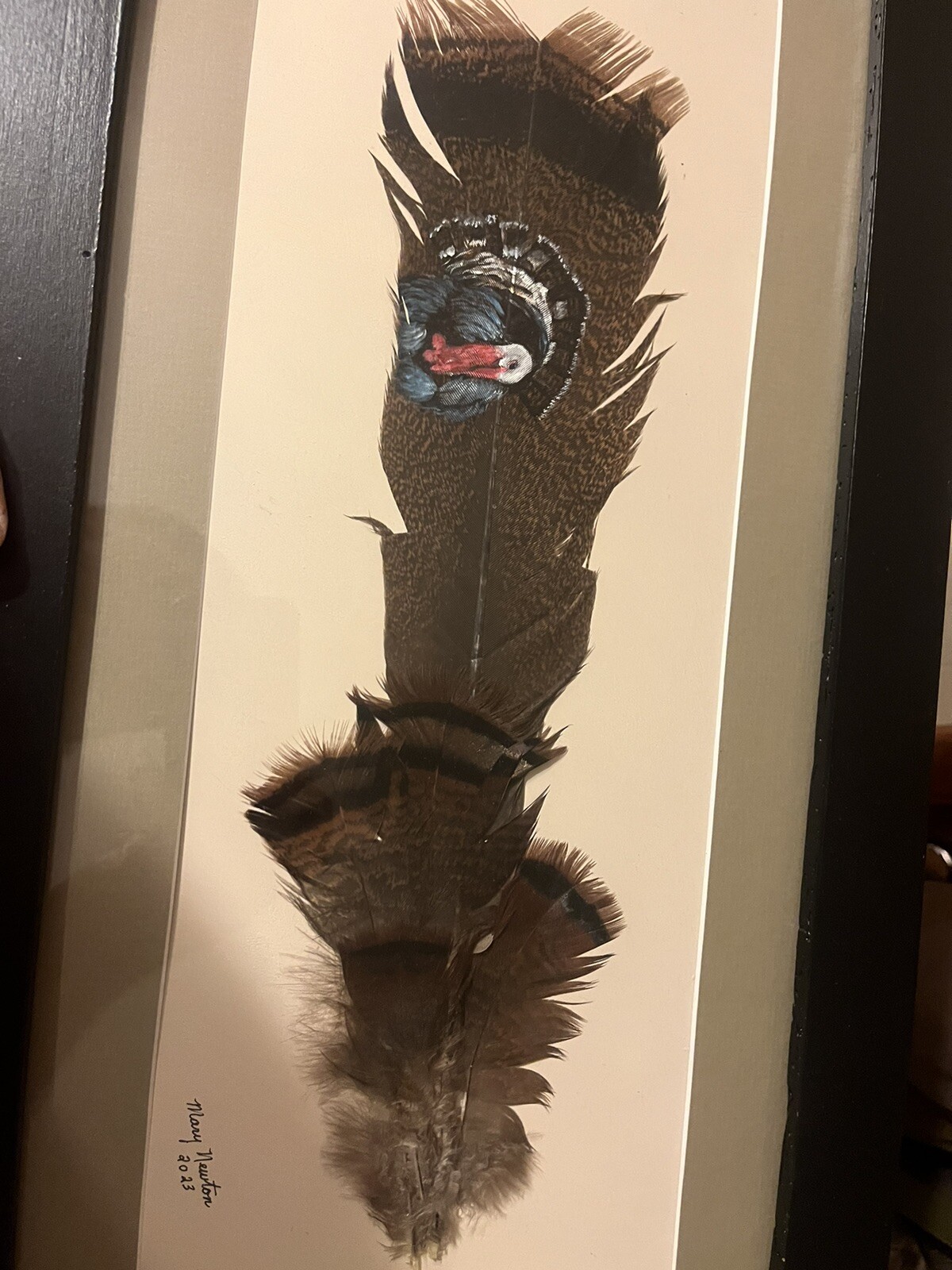 Frames Turkey Feather Painting