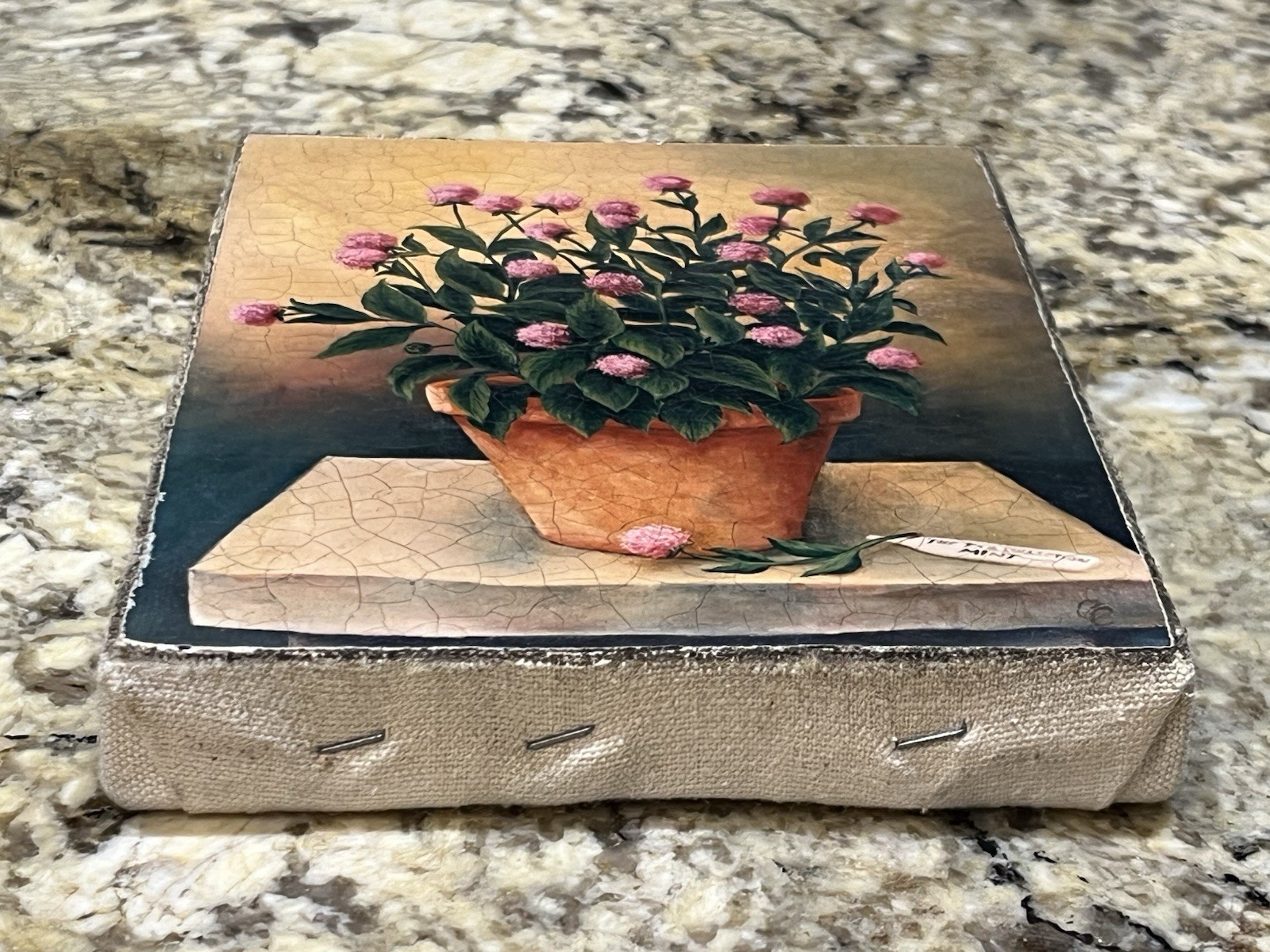 Signed European Pink Globe Amaranth Flowers Terracotta Pot Oleograph Framed Art