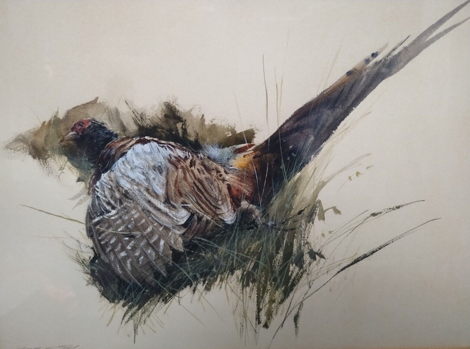 Orig Don Stone watercolor painting Wildlife Pheasant Don Lane Farm Rockport 1966