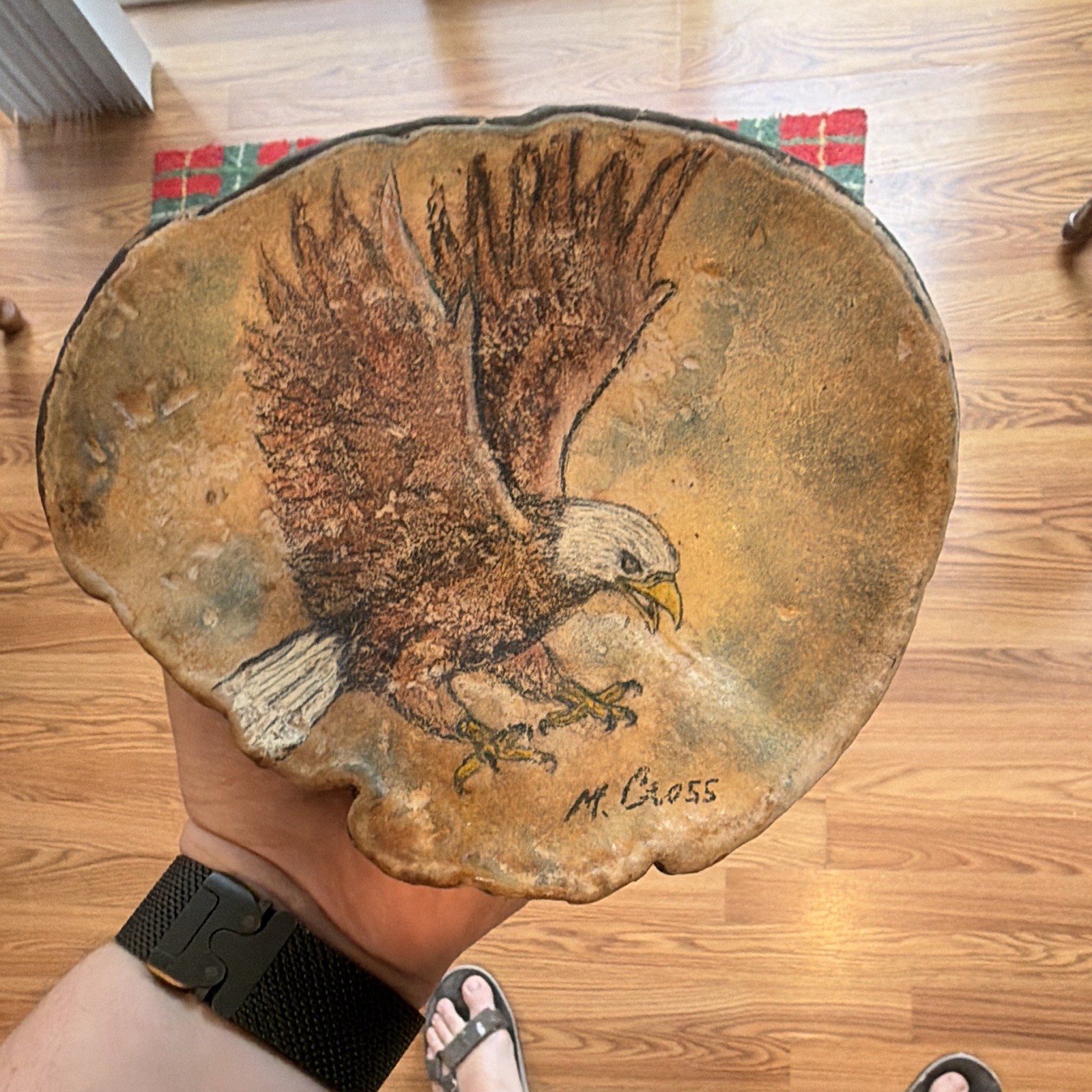 Vgt 1988 Eagle Signed Painting On Tree Shelf Fungus Mushroom Wildlife Country