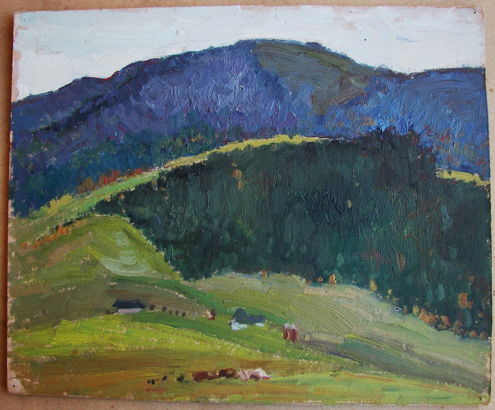 Ukrainian Soviet USSR Oil Painting Impressionism landscape mountain Carpathians