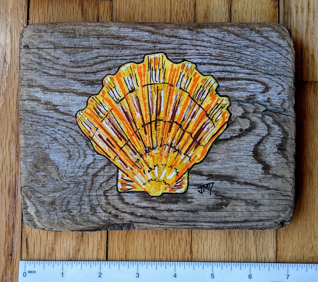 Original Scallop Seashell Painting on Driftwood by Maine USA Artist