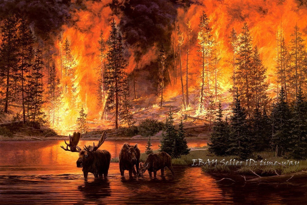 Forest Fire Deer Oil painting Wall Art Giclee Printed on Canvas P504