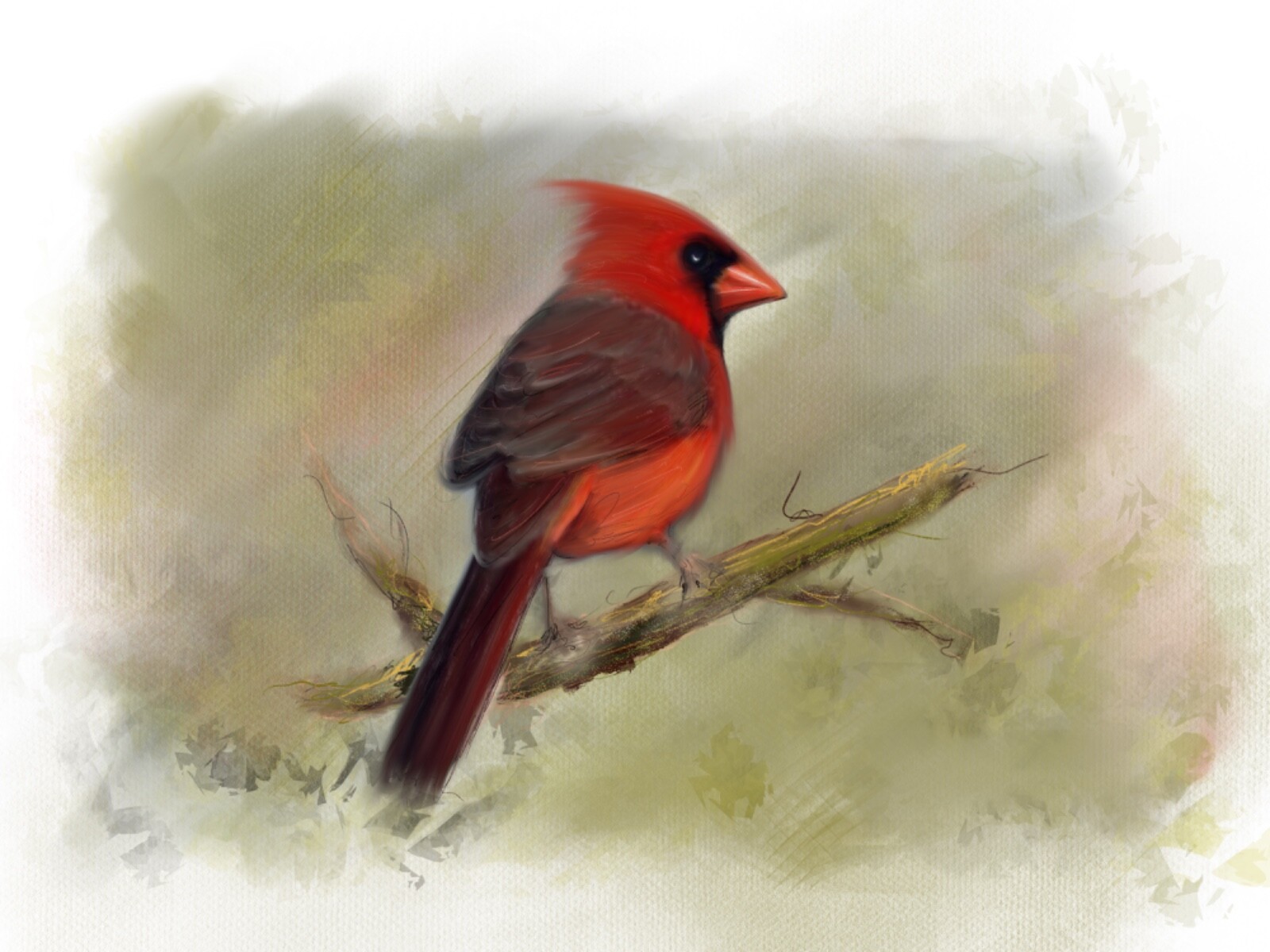 A-701 Print of Painting «Red Cardinal» Gift Idea Birds