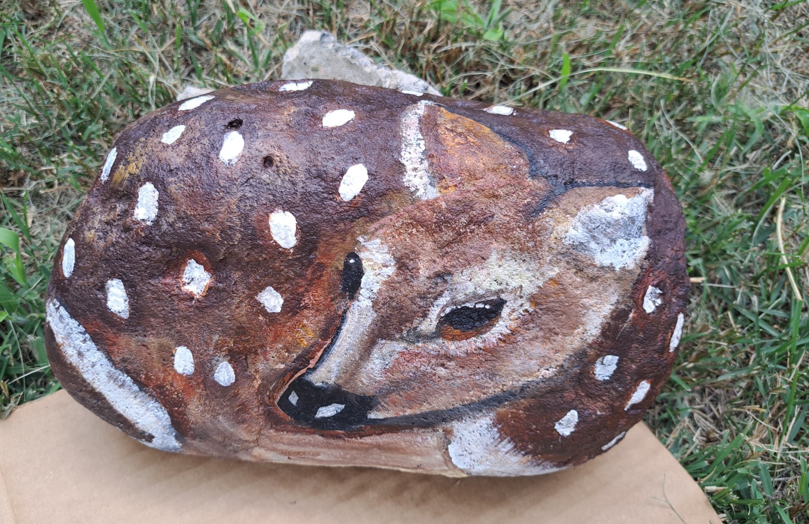 Hand Painted Rock Deer Spotted Fawn Artist Signed 2026 Garden, Decoration 11×6