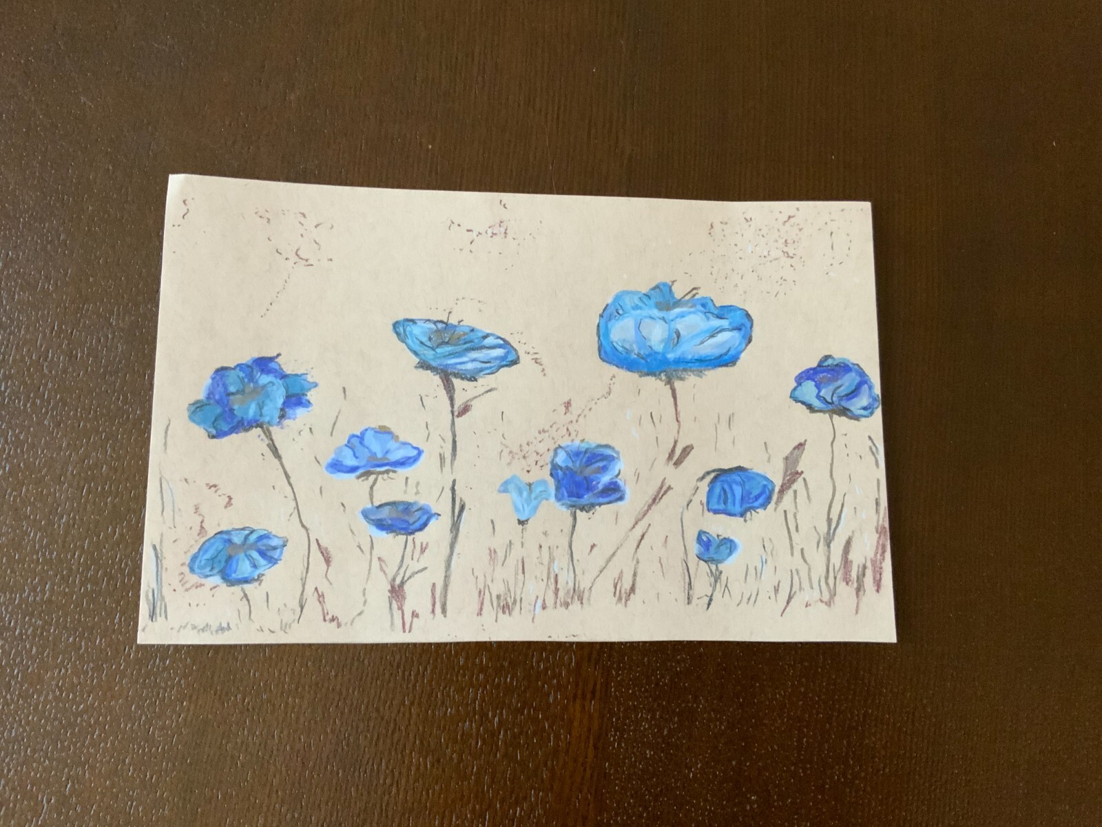 Original pencil painting by Agne Lithuania unique poppies flowers unframed paper