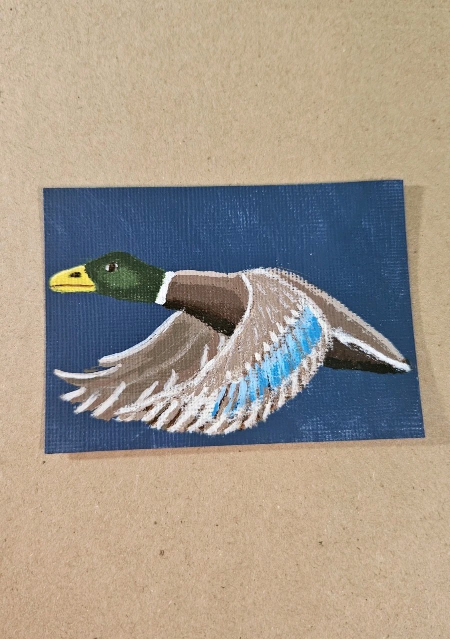 ACEO Mallard Duck Flying Mini Painting Original Bird Acrylic Artwork Signed Art