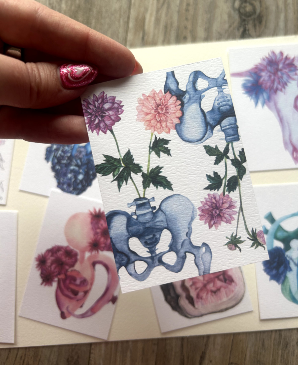 ACEO Edition- Print Sawyer Crane Bones Skeleton Hips Floral Pelvis Flowers life