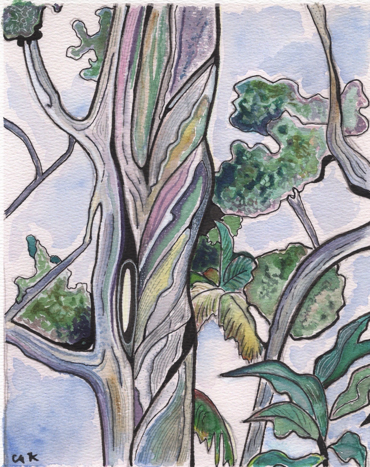 Original Watercolor Painting Signed, Tropical Rainbow Eucalyptus Tree 8×10 Inch