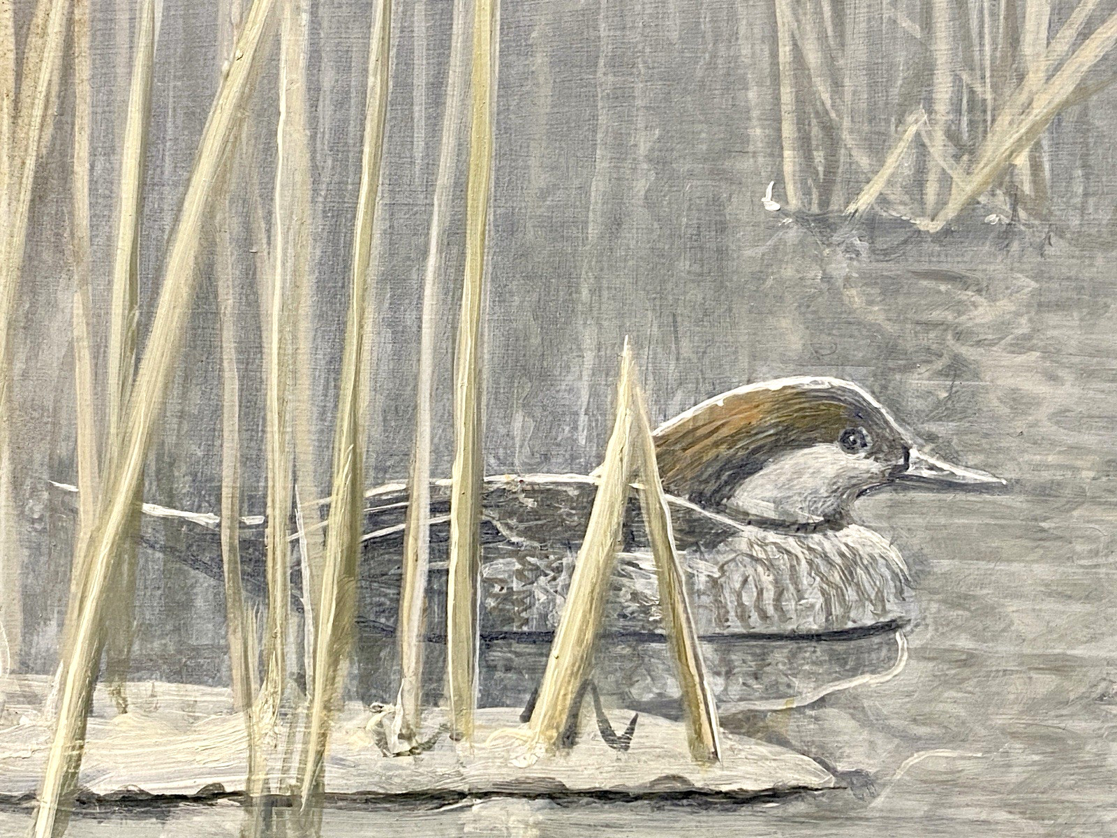 MICHAEL FRASE ORIGINAL BIRD/DUCK ART PAINTING HOODED MERGANSER PAIR, SIGNED, OIL