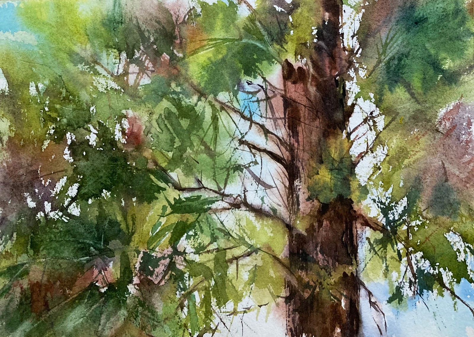 Tree Forest Nature Watercolor Original Painting