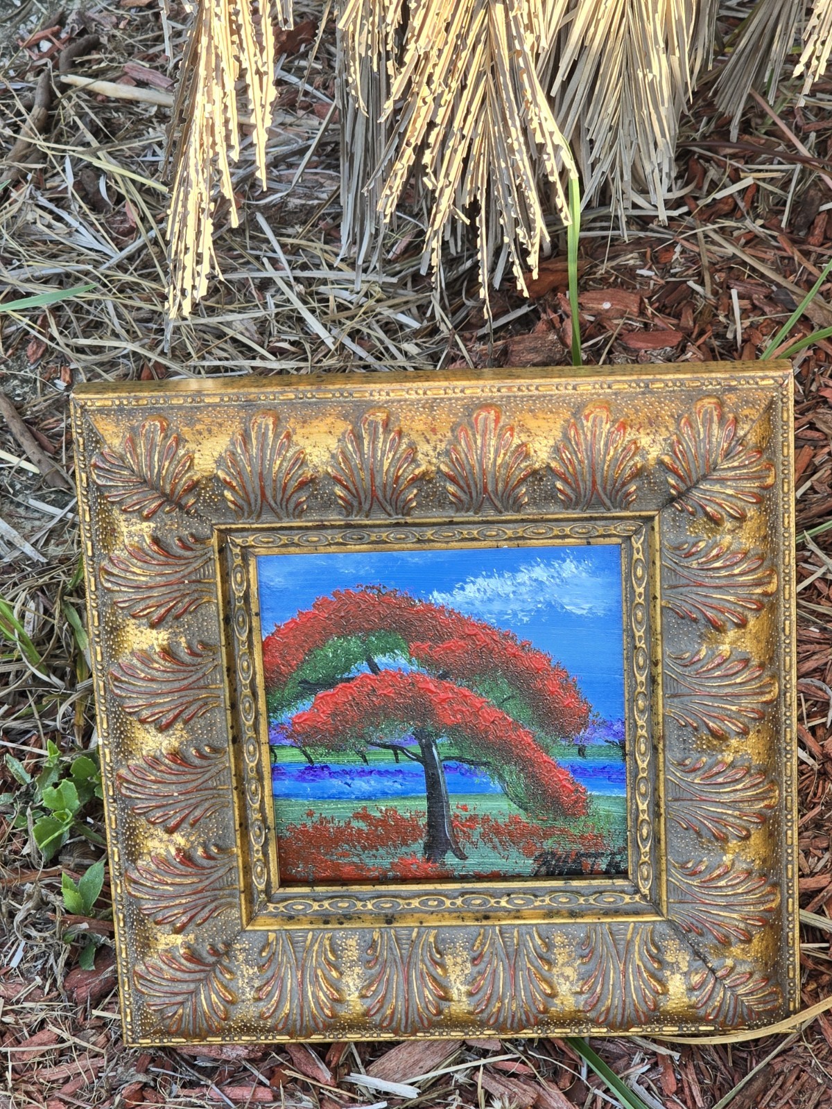 Royal Poinciana Tree 2nd-gen. Highwaymen Roderick Hair (son of Alfred Hair) MINI