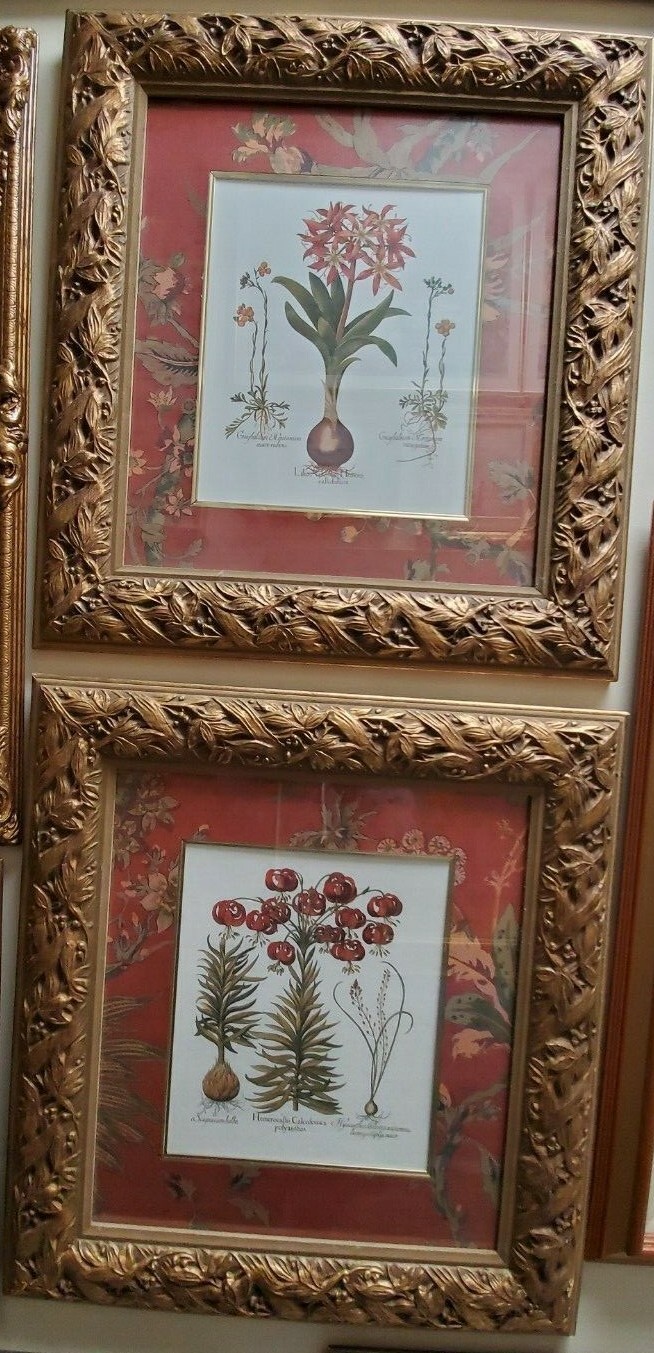 Latin Name flowers Prints Vase decoration Red Bulb plants flower floral Lot of 2