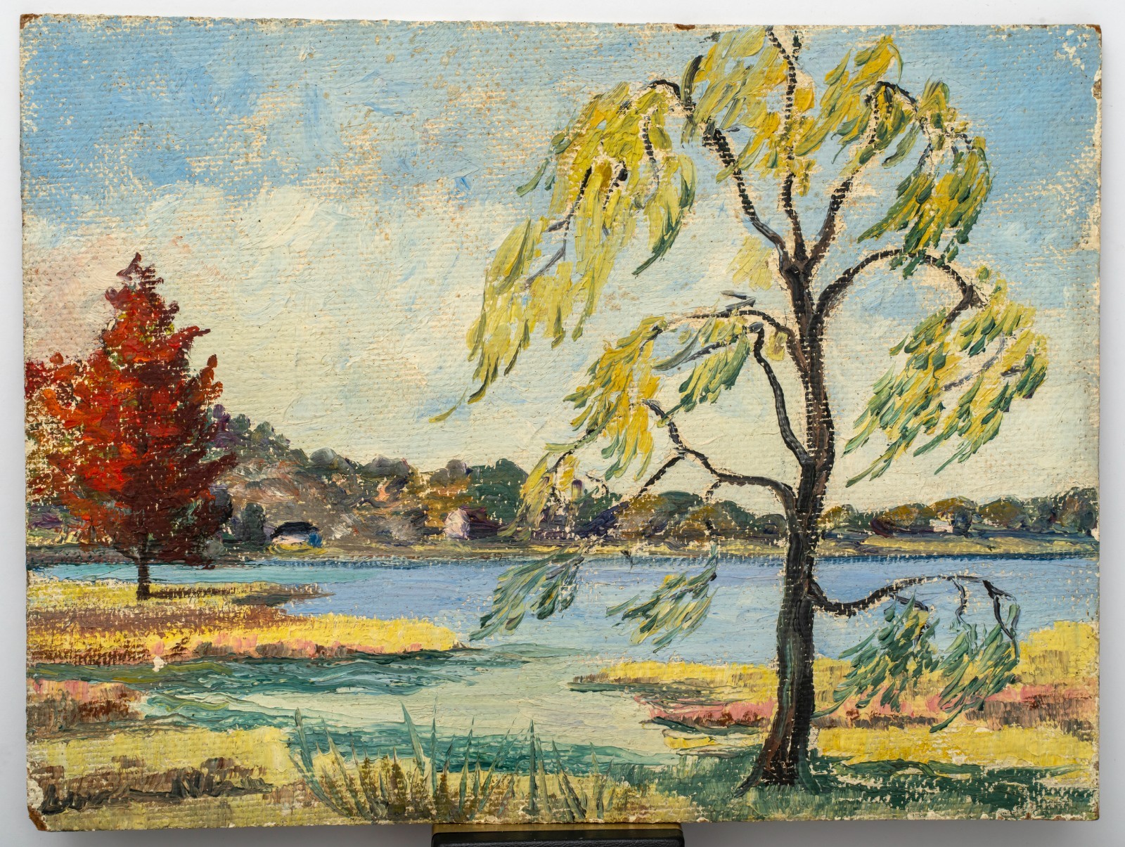 E. 20th Century New England Impressionist Landscape Study Unsigned Coastal Tree