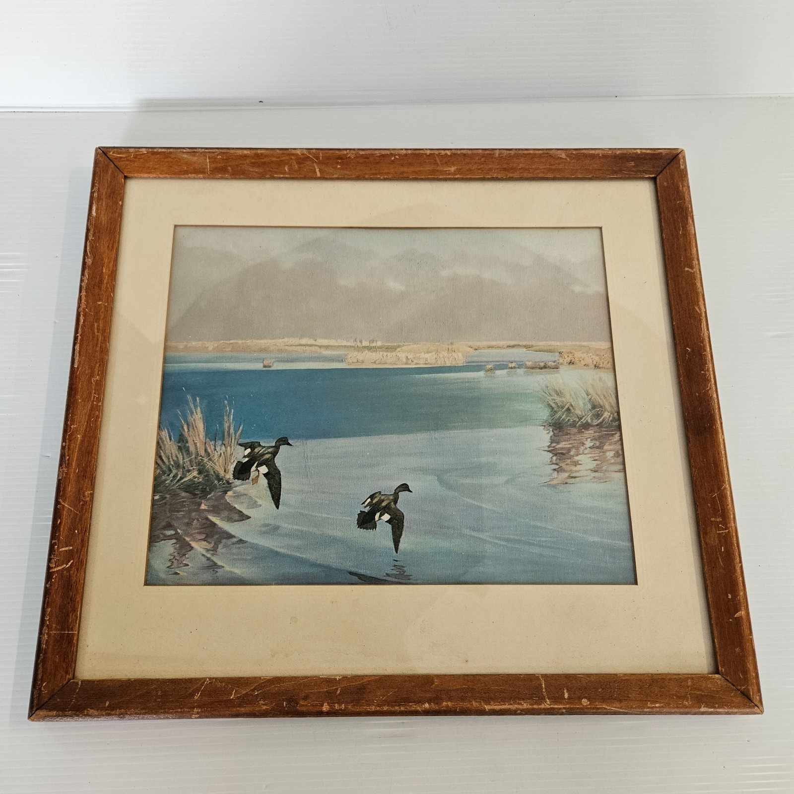 Vintage Duck Painting Framed – Framed by AUCHS ART STORE – 14.5″x 13″