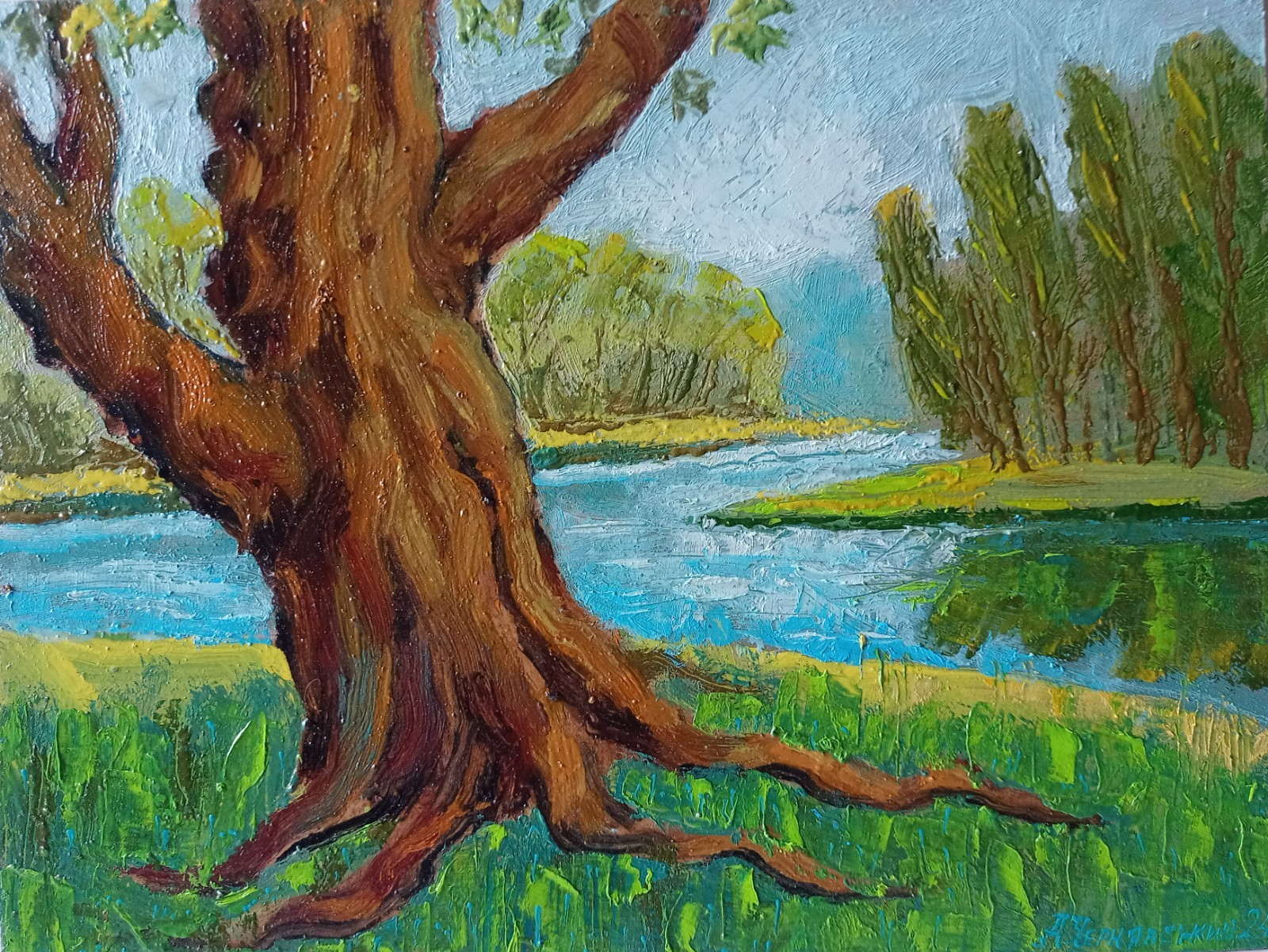Willow Impasto Painting Original Art Impression Oil Painting 10 x 13 in