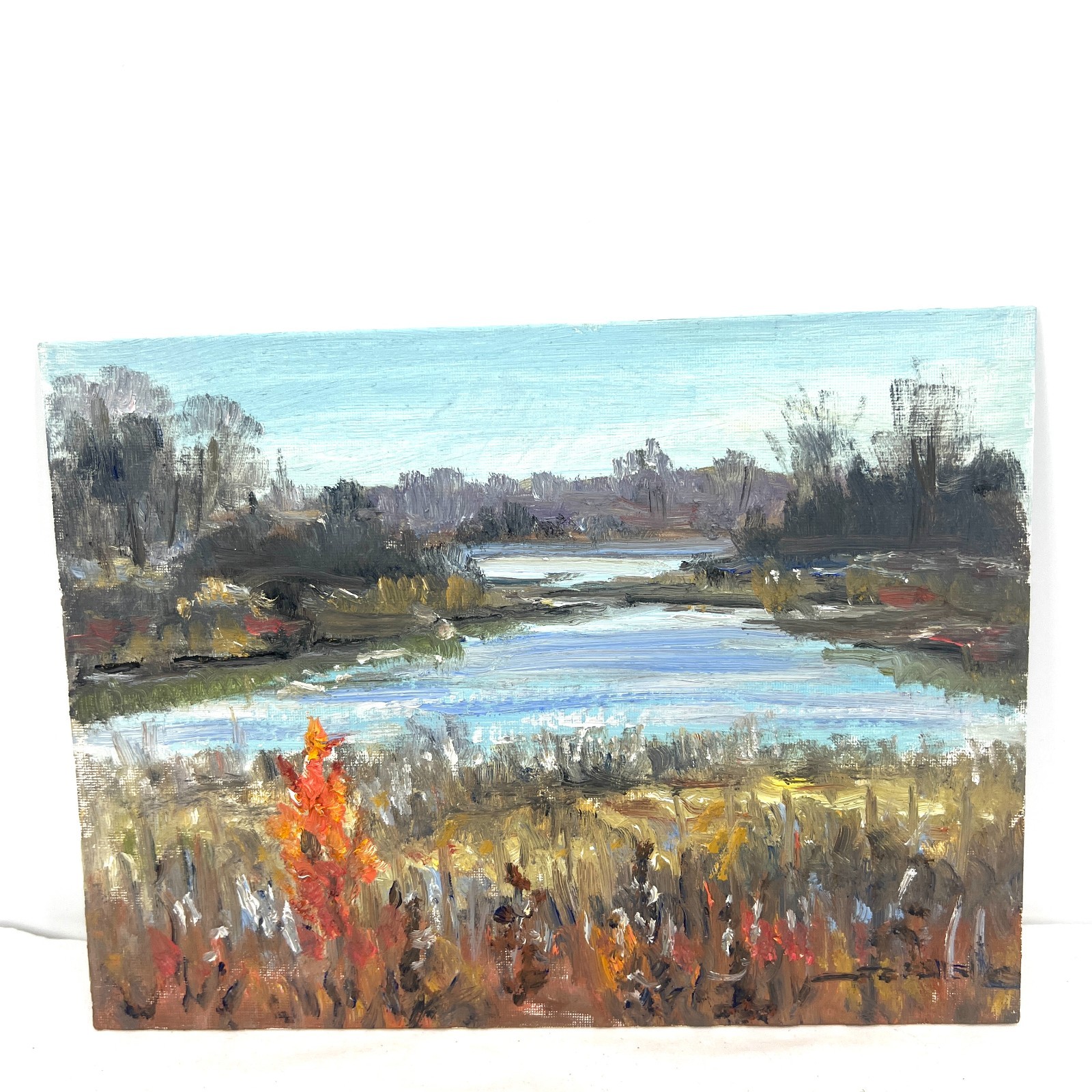Original Artwork 9”x12” Oil Canvas Panel Calm Marsh Tadeusz Seidel