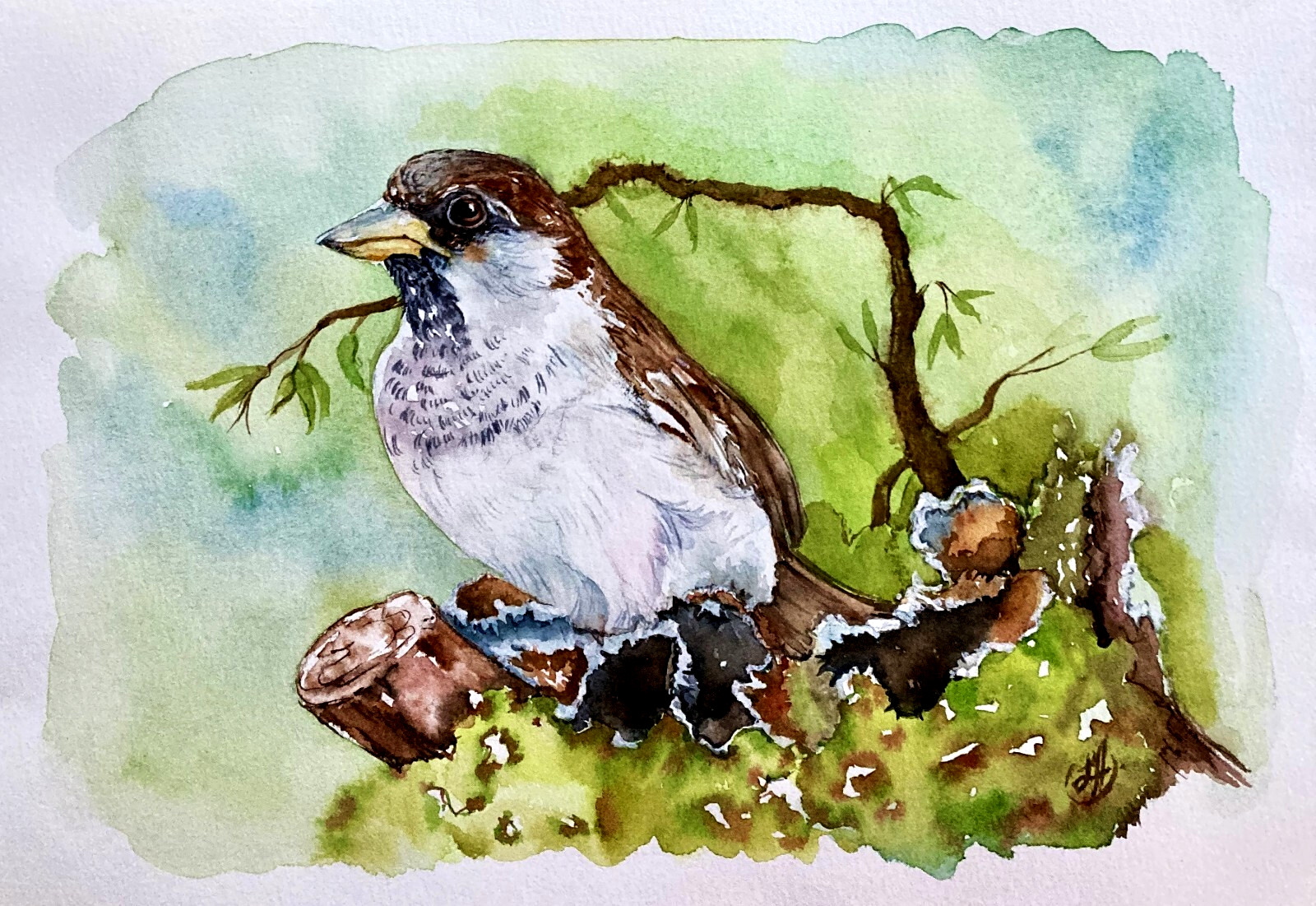Original Watercolor Painting – Sparrow on Old Tree – Handpainted by Liz Altin