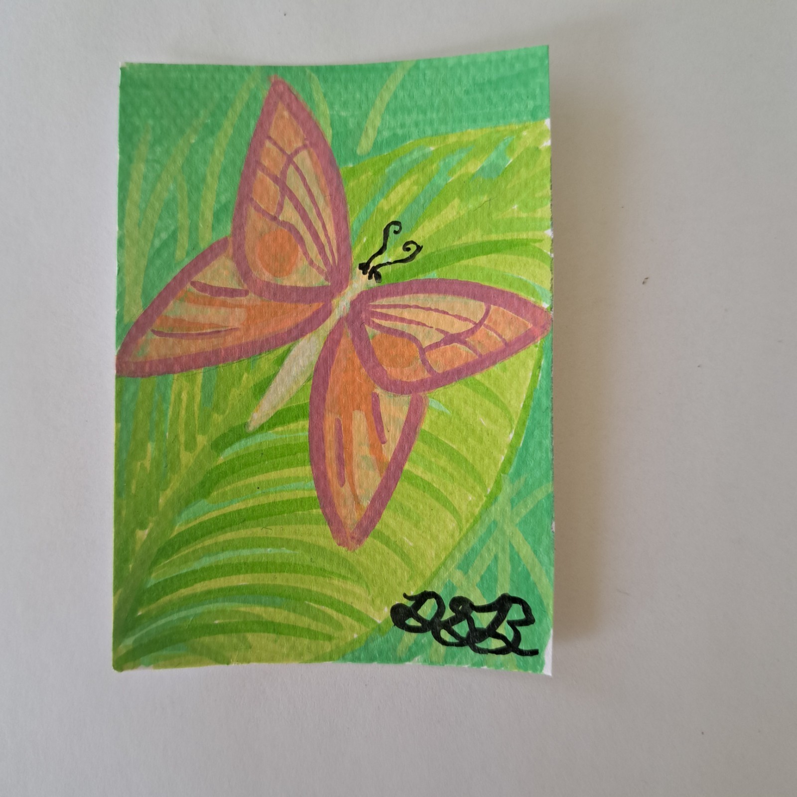 ACEO Original Butterfly Pink by Deborah Barkley