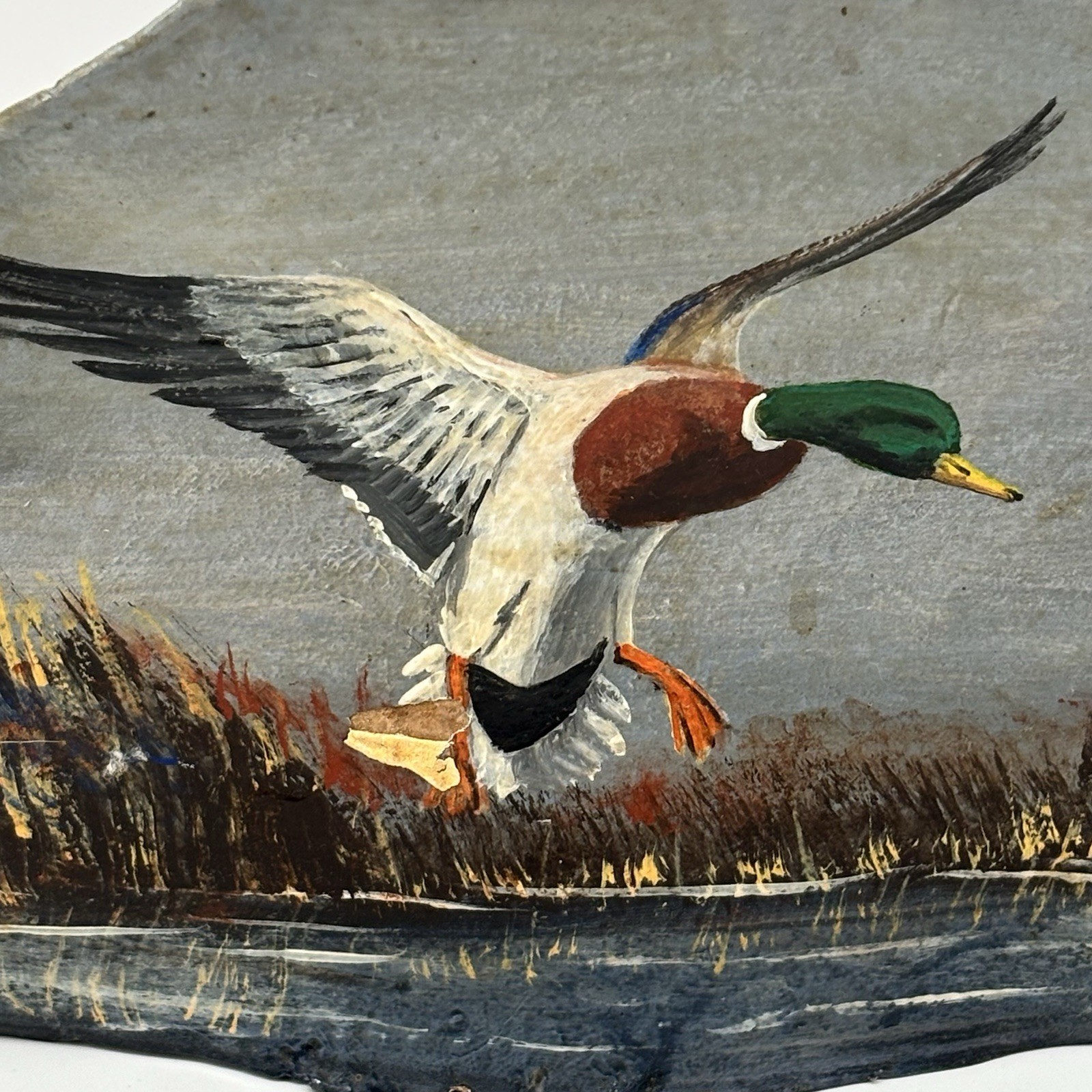 Vtg. Tree Fungus Mallard Duck Painting Folk Art signed Rustic Beautiful Conk