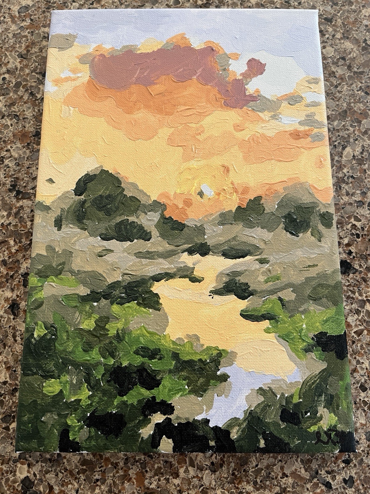 New hand painted by me acrylic on canvas painting orange sunset in Green forest