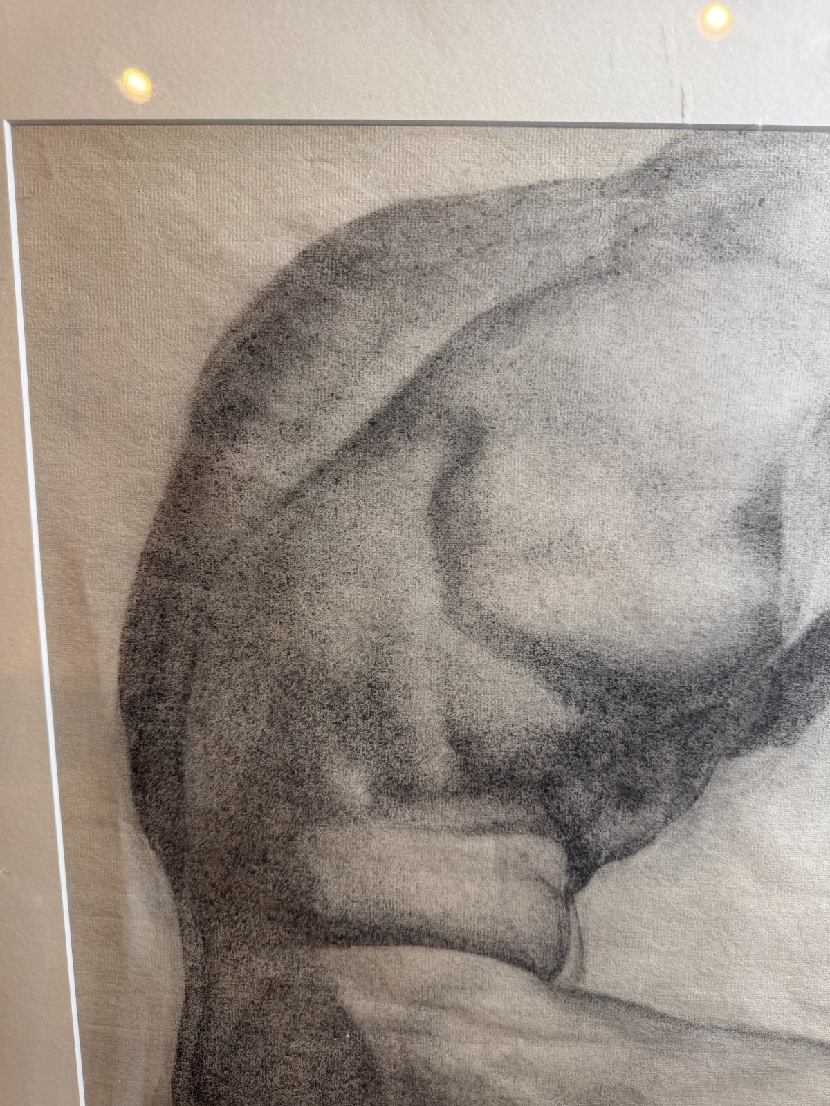 Baltimore School Original Charcoal Anatomical Torso Figure Study Framed Signed