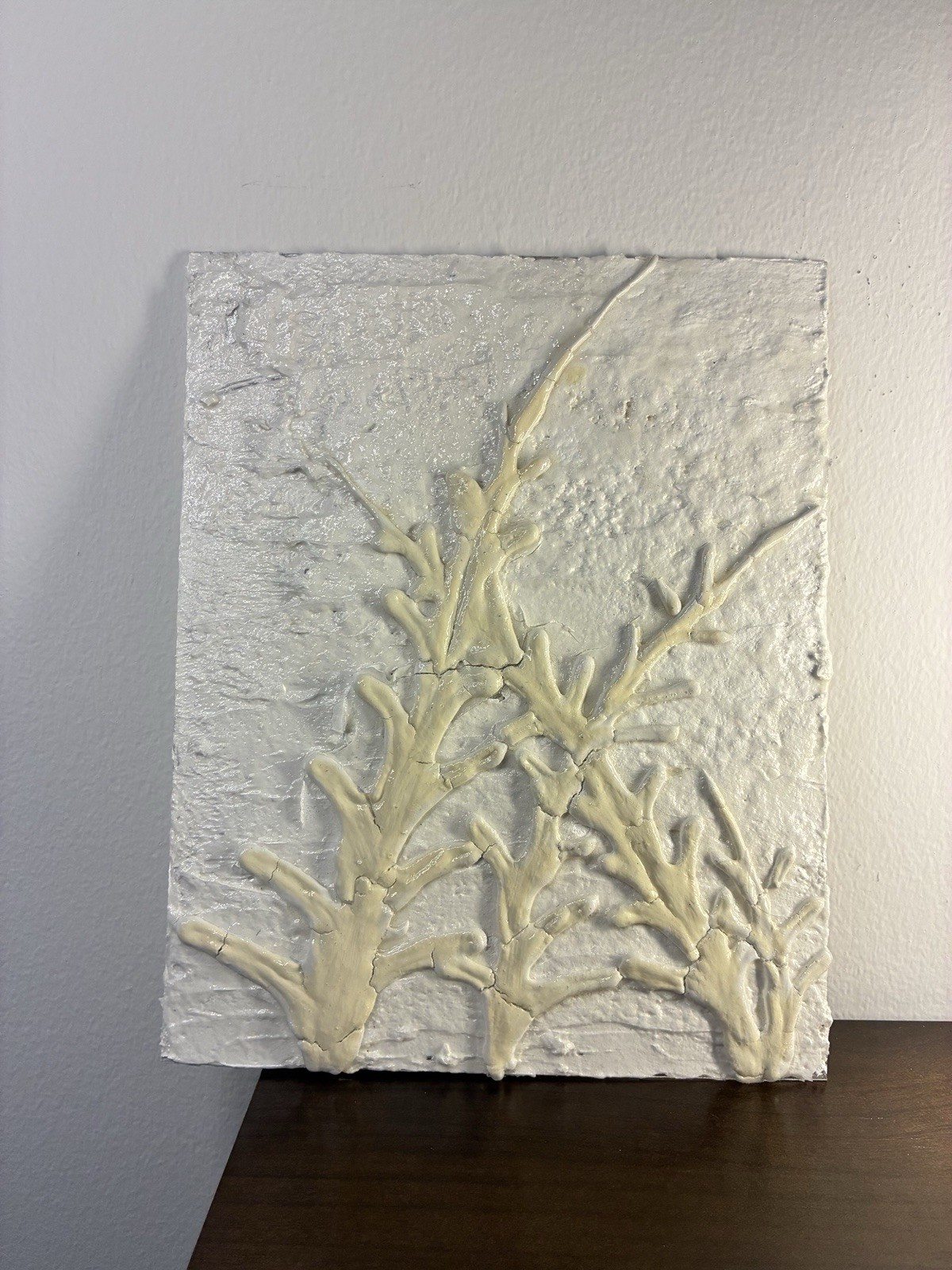 Hand Piped Plaster Art 3D Floating Acrylic Glass Frame Modern Textured Sculpture
