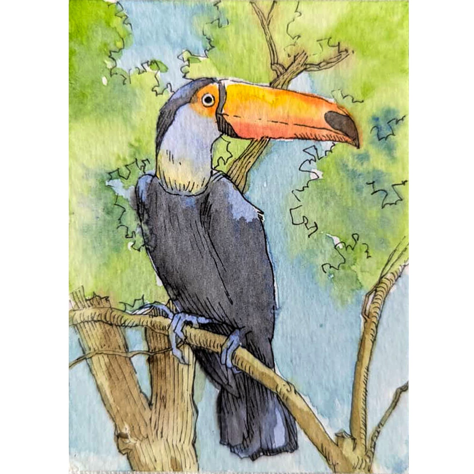 ACEO Original Watercolor Painting Toucan Tropical Bird Jungle Nature Art OOAK