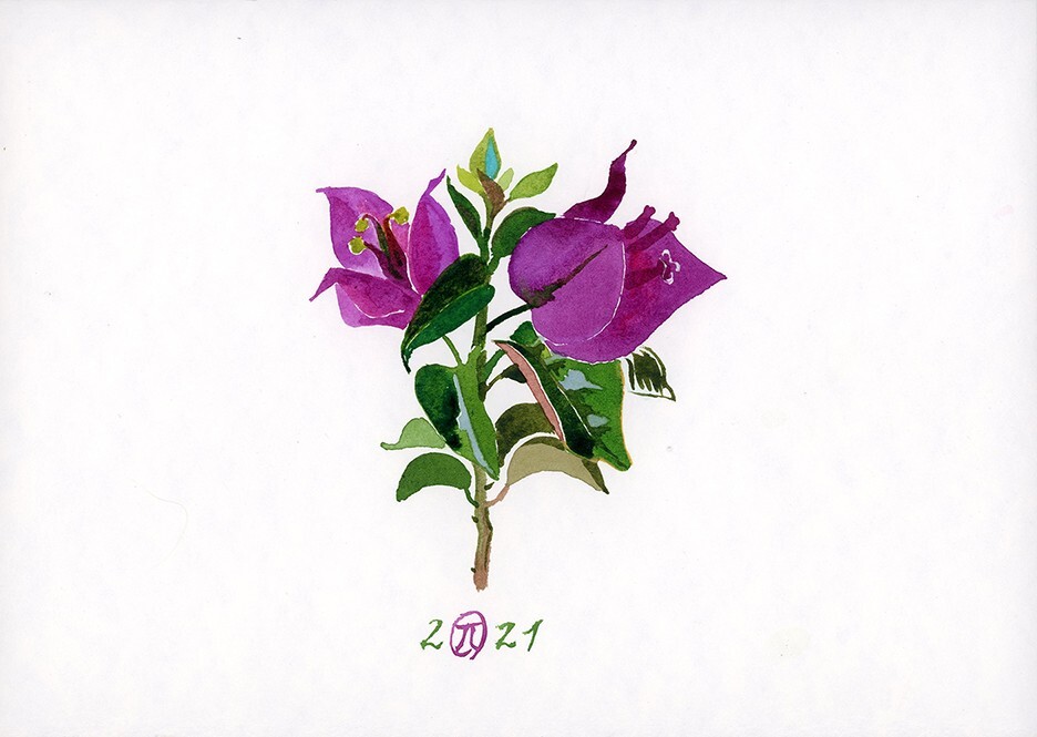Bougainvillea tiny Watercolor Painting by Olga Prokopenko Original Botanical Art