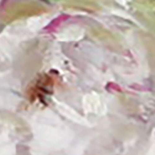VINTAGE silver teapot and pink flower Oil Painting 8x12in Demenko