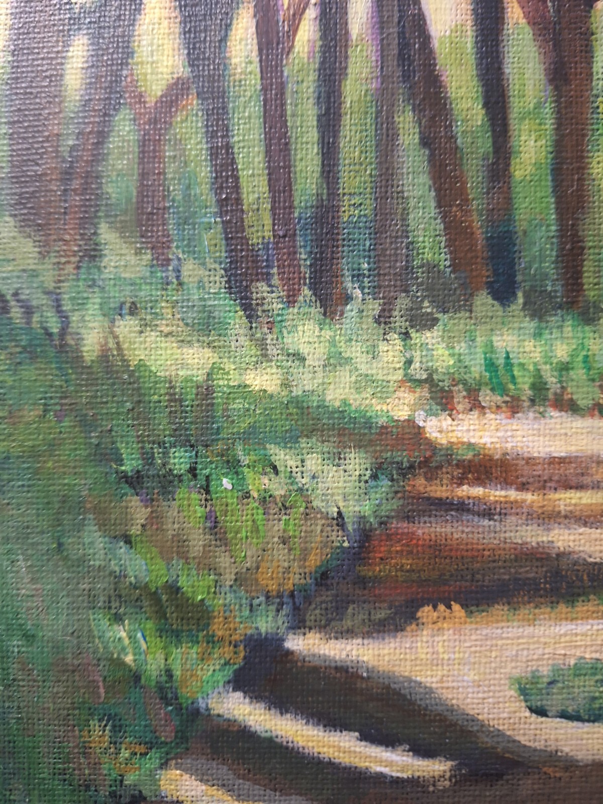 Sun Through The Forest 8×10 Acrylic Canvas Panel Painting