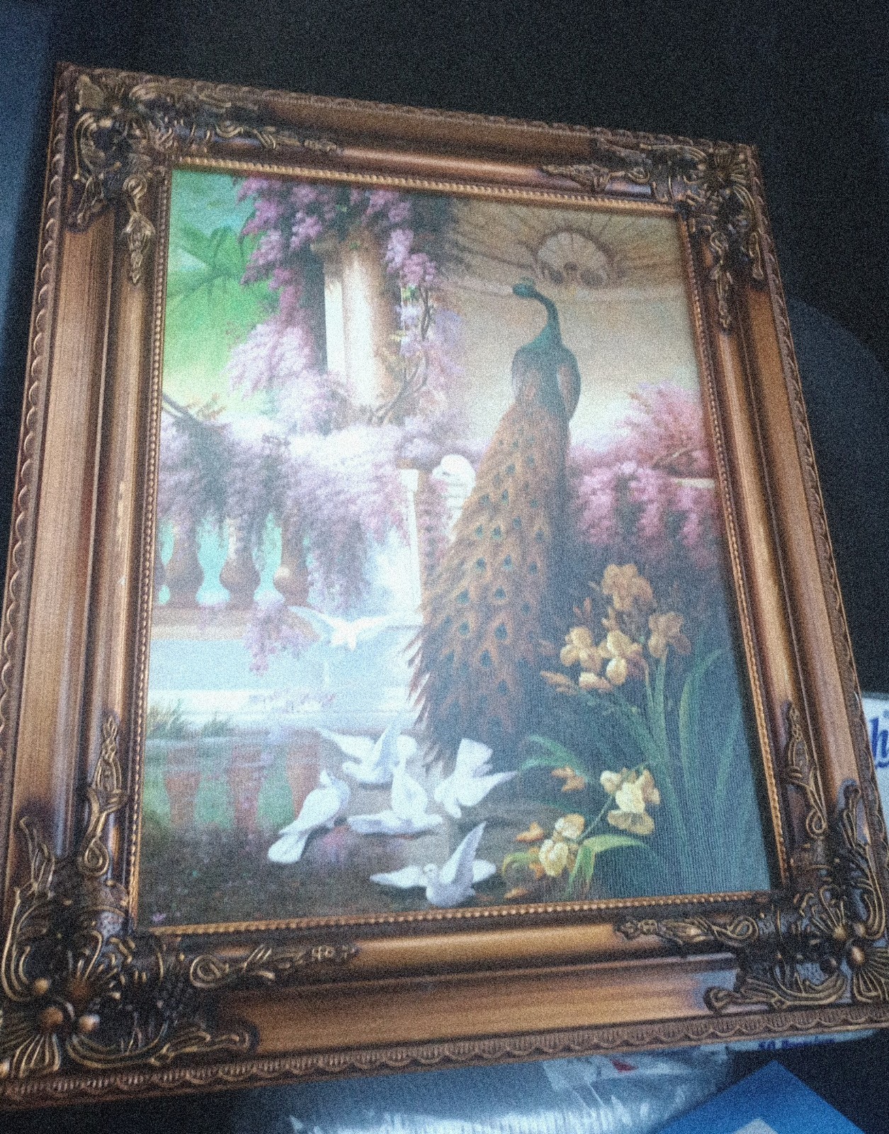 Frame Painting A Peacock and Doves in a Garden by Eugene Bidau 1888 Artwork