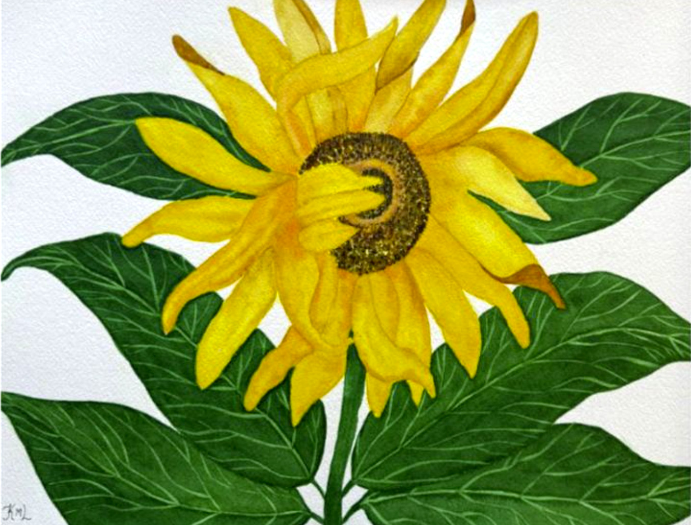 PAINTING WATERCOLOR ORIGINAL ART SUNFLOWER FLOWER YELLOW GREEN 11X14 & MAT 16X20