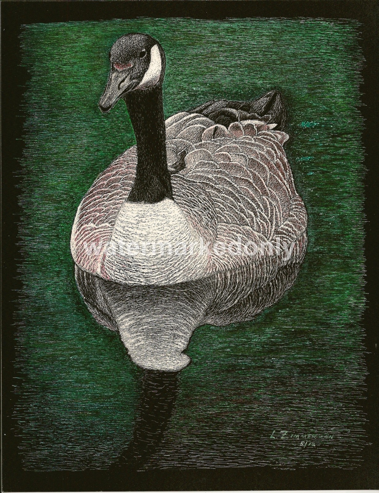 A Canadian Goose Reg. Board 8.5″x11″ Scratch Signed