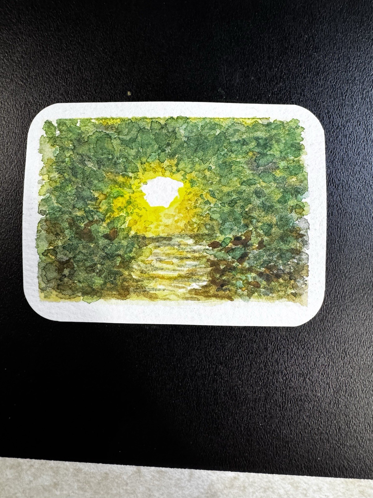 OriginalACEO Sunny Forest Grove And River By KatBergman 2.5×3.5