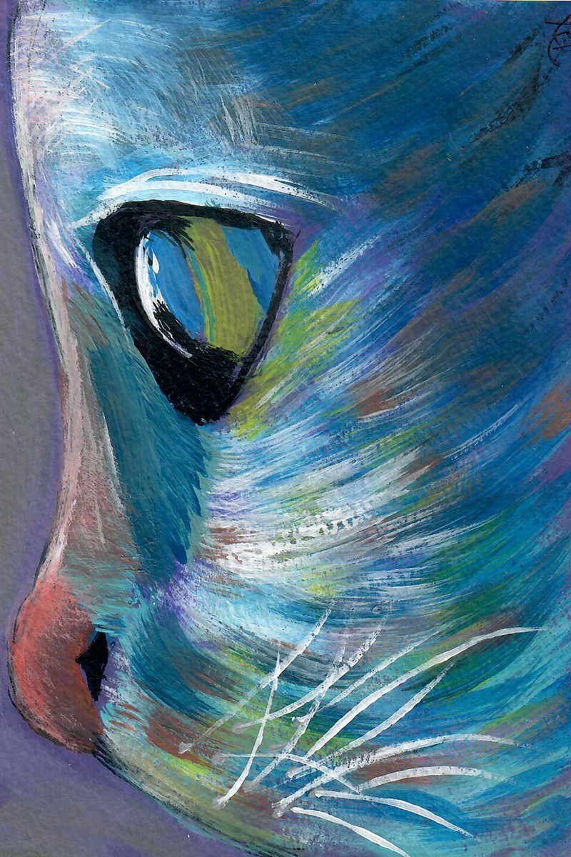 Artwork «Rainbow Cat» Signed by Dixie Stovall 5 in. x 7 in. 100% Charity Acut.