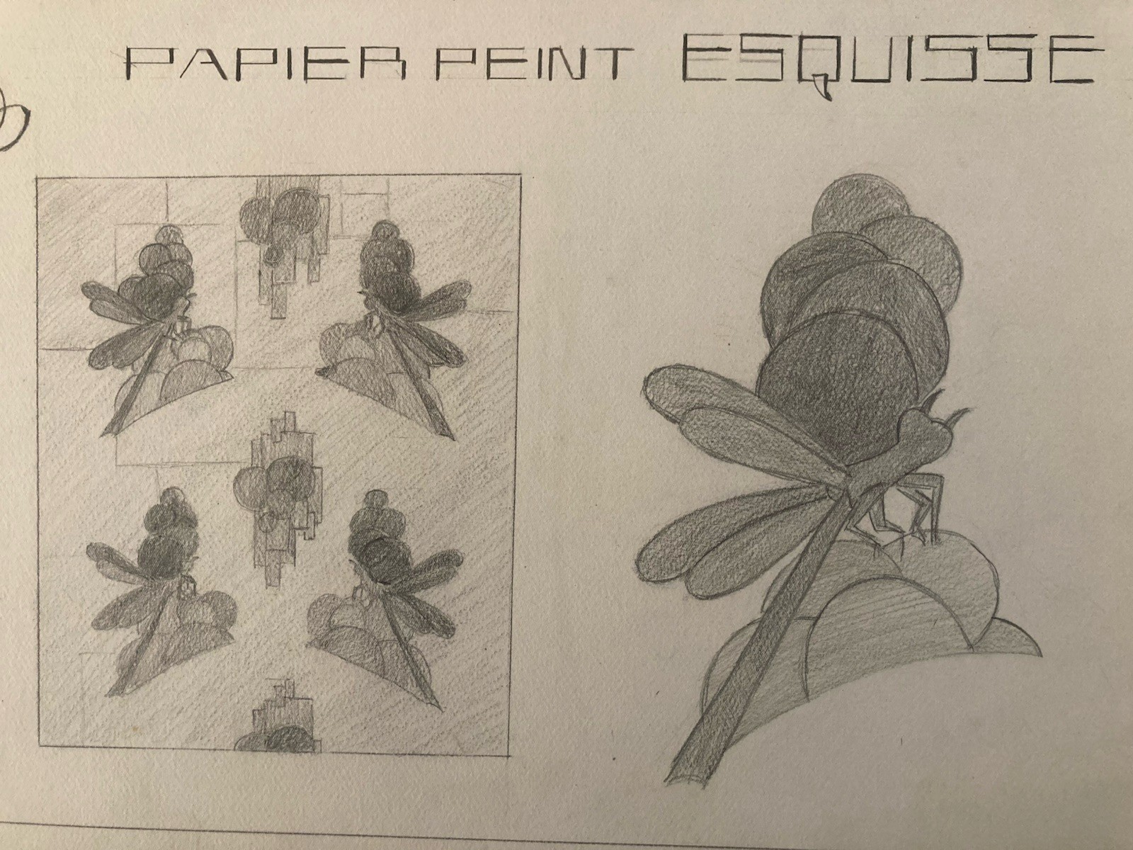 Original Art Deco Nouveau Pencil Drawing 1930 Flower Plant Dragonfly XXe