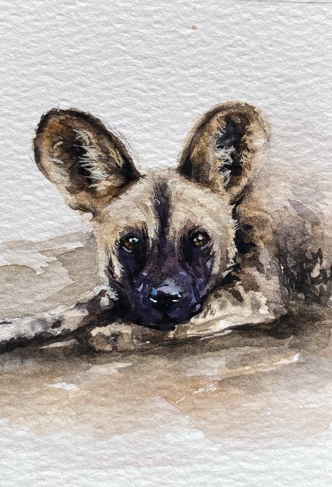 ACEO Original Mixed Media Painting Art African Dog