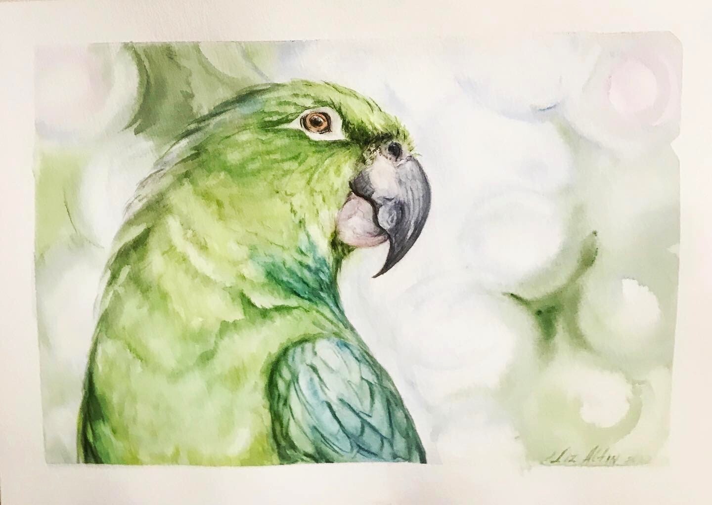 Bird Parrot Watercolor original painting