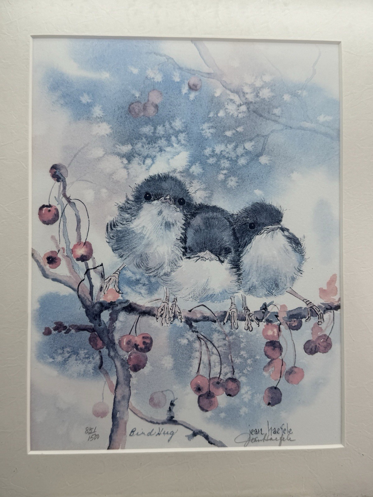 Jean Haefele Bird Hug Framed Print Limited Edition Signed 851/1500 Birds 13×10